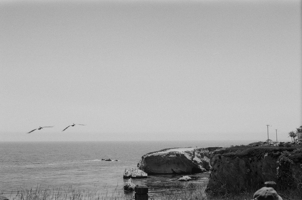 Photography still 5